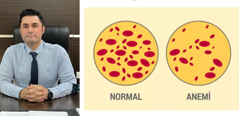 Anemi Nedir? Anemi olasılığı yüksek risk gruplar kimlerdir?