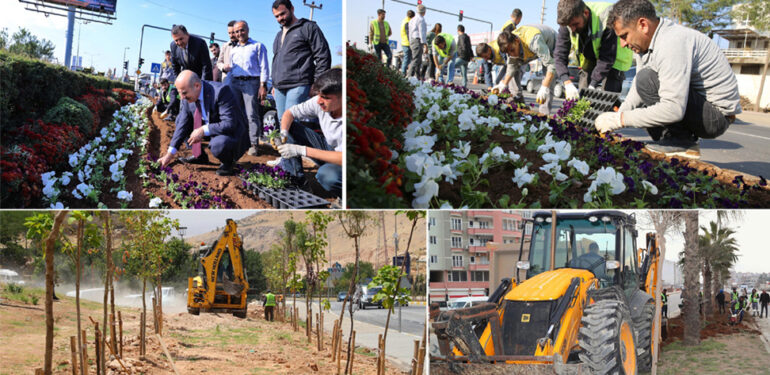 Büyükşehir Belediyesi fidan dikimi çalışmalarını sürdürüyor