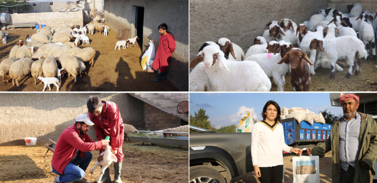 Çiftçiler ‘Kuzulu İşletme Kusursuz Üretimdir’ projesi’nden memnun