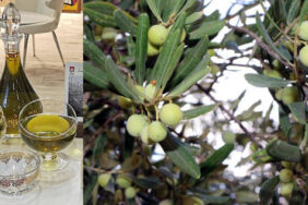 “Derik Halhalı Zeytinyağı” Coğrafi İşaret olarak tescillendi -1