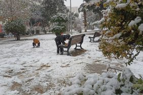 Kızıltepe’de kar yağışı etkili oldu-1