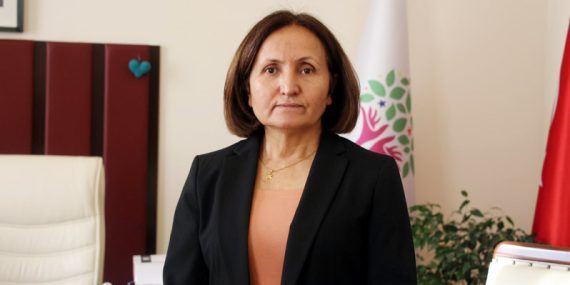 Dundar, Dara Antik Kentinde inşa edilen beton yapıya ilişkin soru önergesi verdi
