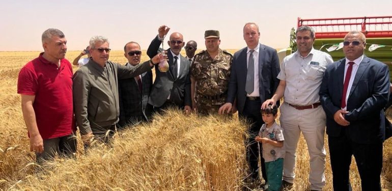 Mardinli Dekinsan şirketi Cezayir’de ilk buğday hasadını yaptı
