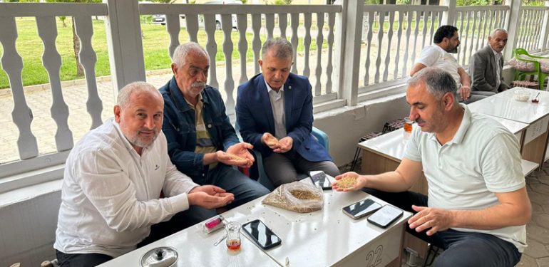 Mardin çiftçisi TMO’nun fiyat açıklamasını bekliyor