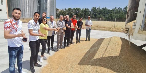 Mardin Ovası’nda hasat mevsimi bereketli başladı