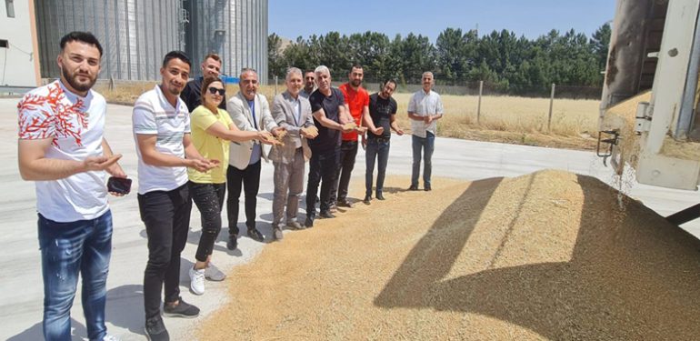 Mardin Ovası’nda hasat mevsimi bereketli başladı