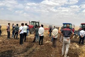 Derik’te buğday tarlasında yangın