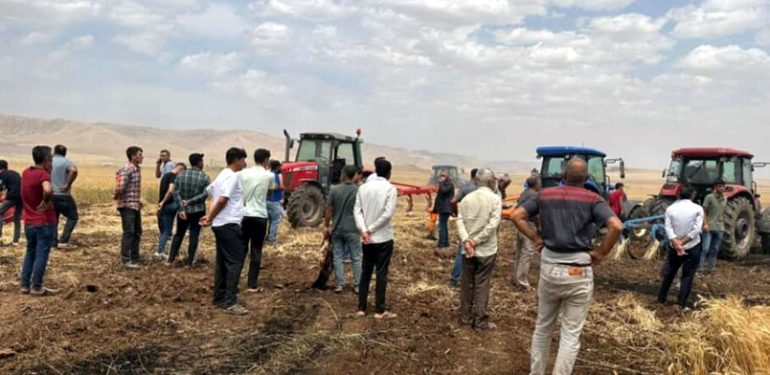Derik’te 120 dönüm buğday tarlası küle döndü