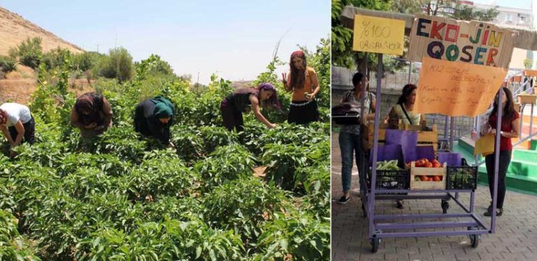 Kızıltepe’de Üretimden Pazara Kadın Emeği