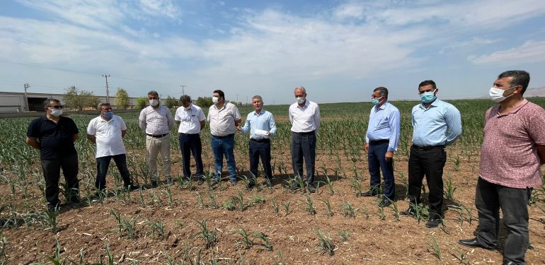 STK’lerden Çiftçiler İçin Hükümete Acil Elektrik Destek Çağrısı