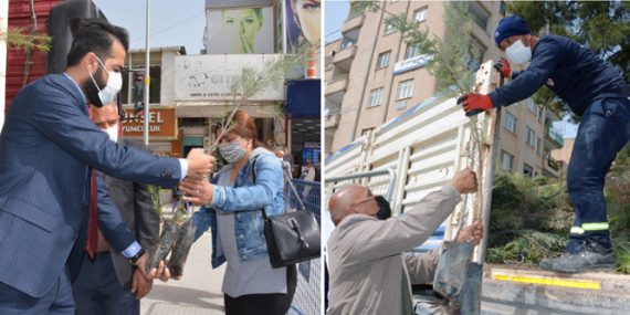 12 bin Fidan Geleceğe Nefes Olacak