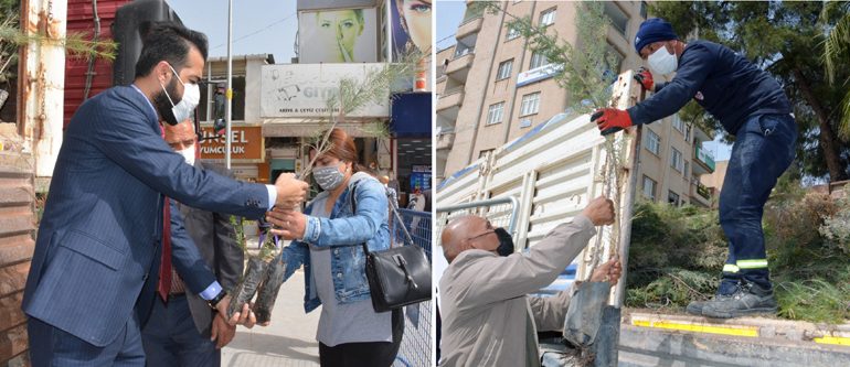 12 bin Fidan Geleceğe Nefes Olacak