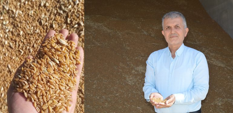 Öter: Tahıl koridoru krizi çözülmezse ciddi sıkıntılar yaşanacak