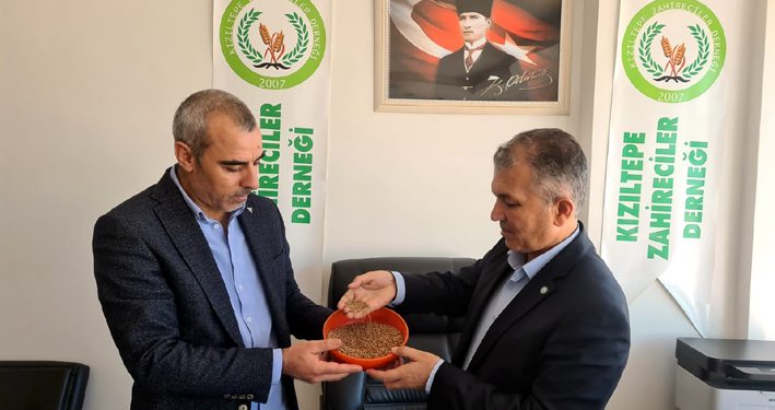 Öter: Kızıltepe mercimeği coğrafi işaret belgesini almayı fazlasıyla hak ediyor
