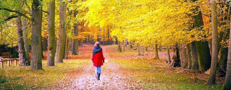 Mevsim Geçişleri Bozukluğu