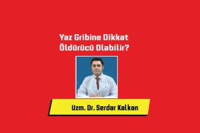 yaz-gribine-dikkat-