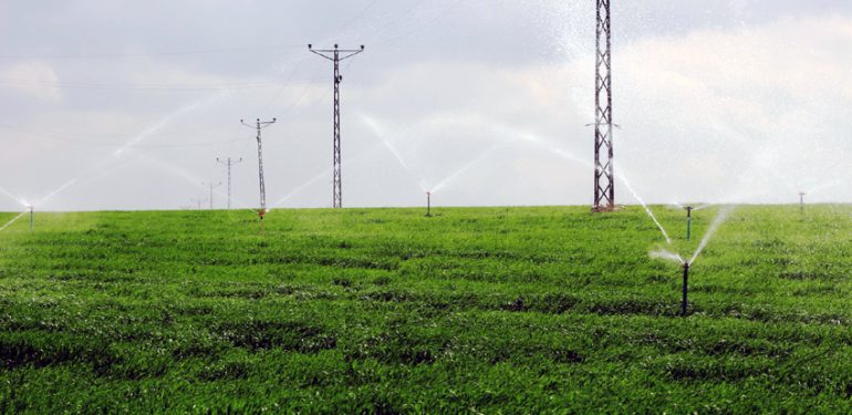 DEPSAŞ Enerji: Tarımsal sulama borçlarında rekor Kızıltepe’de
