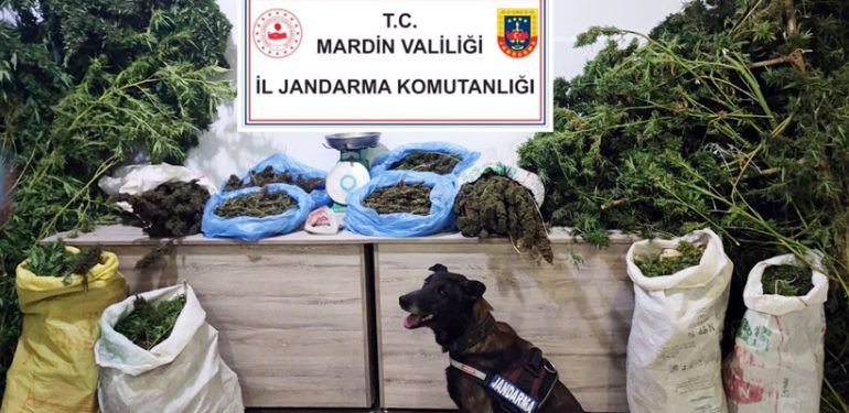 Kızıltepe’de manav dükkanında öğrencilere uyuşturucu satan kişi yakalandı