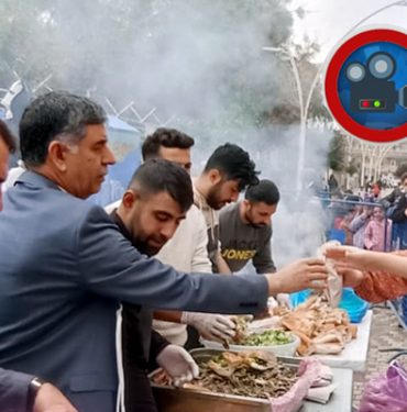 hamsi-festivali