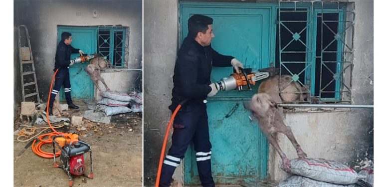Kızıltepe’de pencereye sıkışan köpeği itfaiye kurtardı