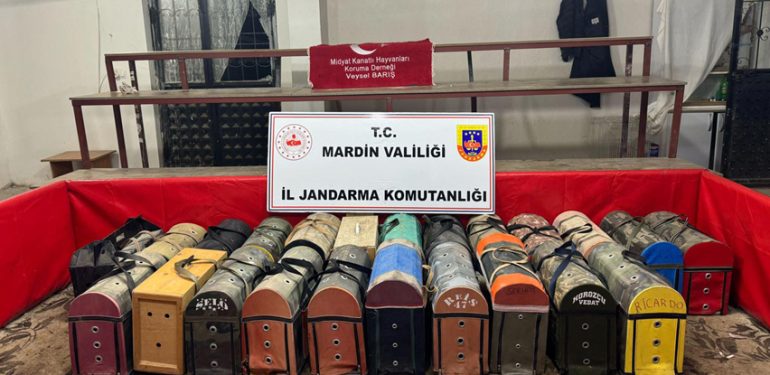 Horoz dövüştüren ve bahis oynayan 83 kişiye 578 bin lira ceza verildi
