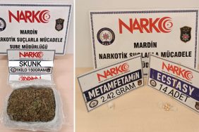 narkotik-polisi