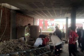 2241fe41-0891-4fc3-bdc5-6e10811dbb36