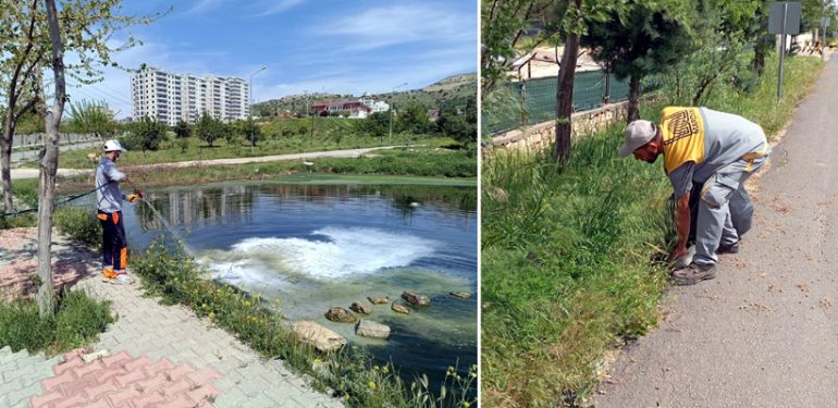 Temizlik ve ilaçlama çalışmaları sürüyor