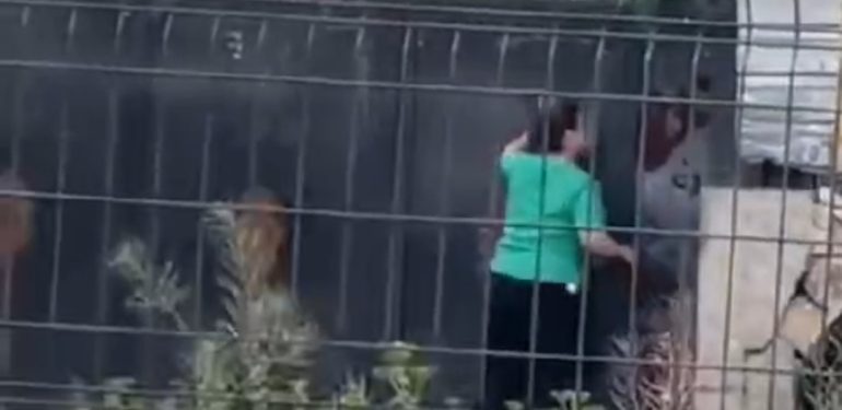 Okuldan atılan kız öğrenci silahla okulu bastı