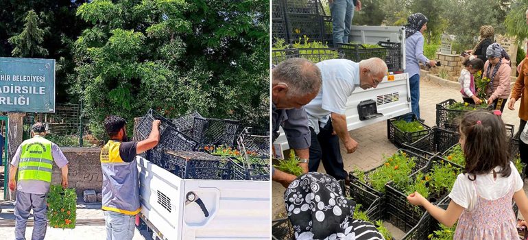 Büyükşehir Belediyesi mezarlıklarda çiçek fidanı dağıttı