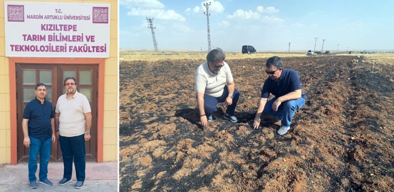 Kızıltepe Tarım Fakültesinden Çiftçilere “Anız Yakma” Uyarısı