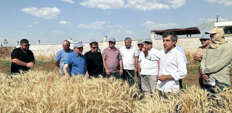 Tarım Bilimleri ve Teknolojileri Fakültesi ‘Tarla Günü’ Etkinliği Gerçekleştirdi