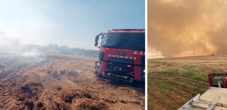 3 farklı noktada çıkan ekin yangınlarında 50 dönüm kül oldu