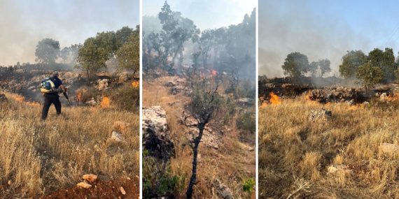 Kızıltepe Derik ve Midyat ilçelerinde çıkan yangınlar söndürüldü