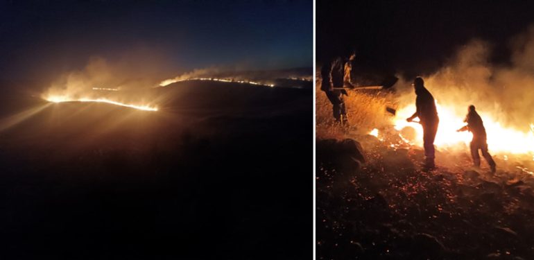 Mazıdağı-Çınar arasında çıkan anız ve orman yangını söndürüldü