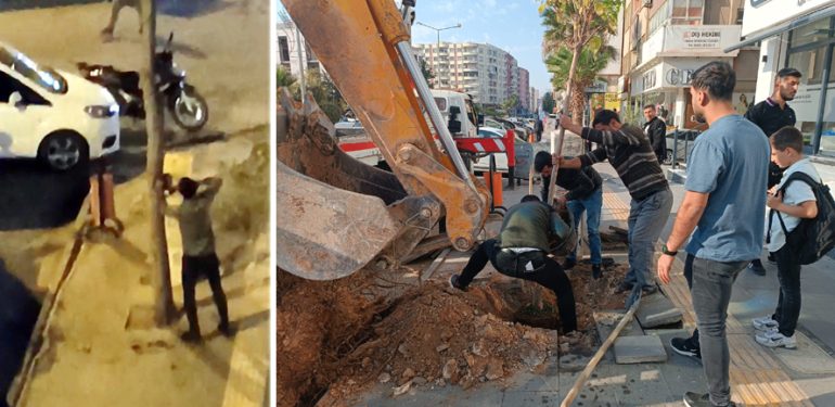 Ağaç kesenlere cezai uygulanarak yerine ağaç dikildi