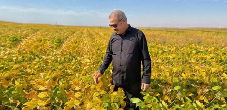 Mardin Ovası için ikinci ürün önerisi ‘Soya Fasulyesi’