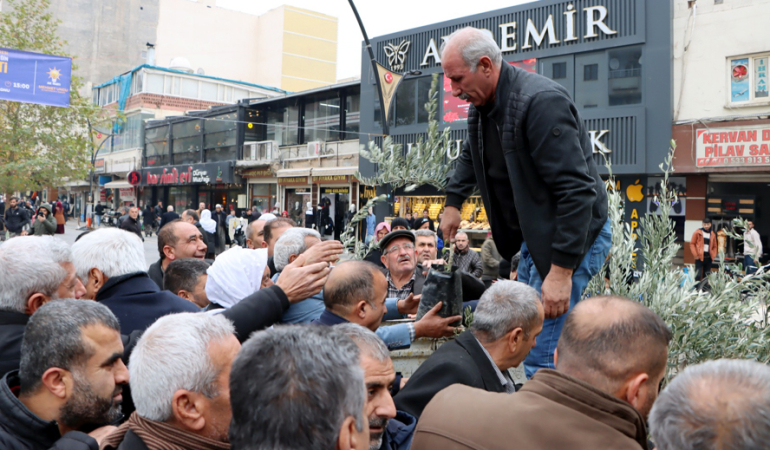 Kızıltepe’de Belediye bin 500 zeytin fidanı dağıttı