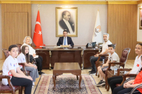 satranç