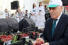 Yeşilli Kiraz Festivali-1