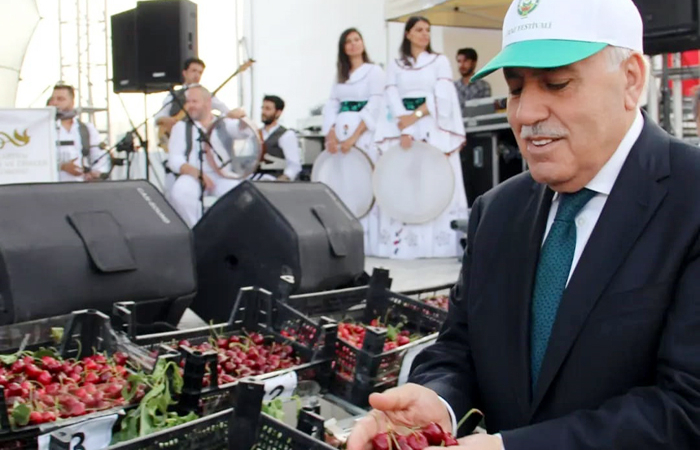 Yeşilli Kiraz Festivali-1