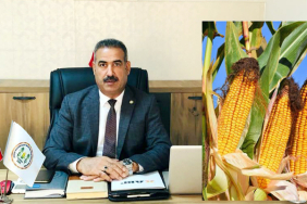 Hanifi-muslumoglu-mısır