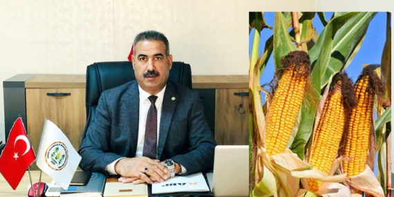 Müslümoğlu: Mısır tarlada, hükmet ithalatın peşinde