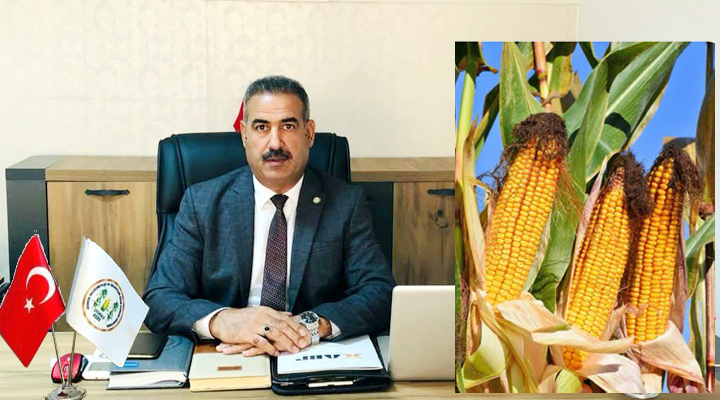 Müslümoğlu: Mısır tarlada, hükmet ithalatın peşinde