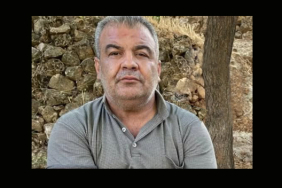 Mehmed Nur Yücedağ