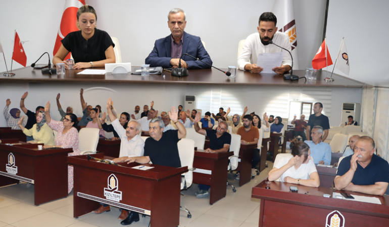 Kızıltepe Belediye Meclisinde kadın konukevi açılması önergesi kabul edildi