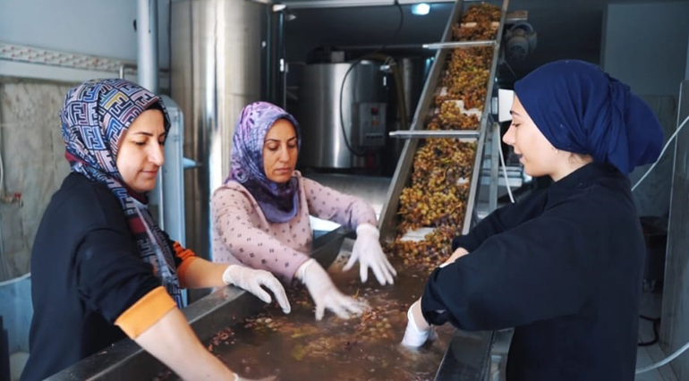 Dargeçit Belediyesi Üzüm İşleme Tesisi Hizmete Açıldı