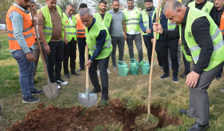 Milli Ağaçlandırma gününde fidan dikimi gerçekleştirildi