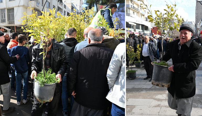 Kızıltepe’de Ücretsiz Meyve Ağacı Dağıtımı Yoğun İlgi Gördü