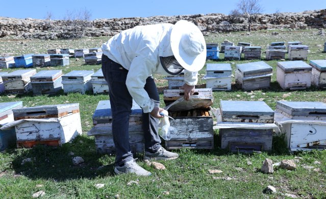 Büyükşehir Belediyesi’nden Arı Üreticilerine Destek